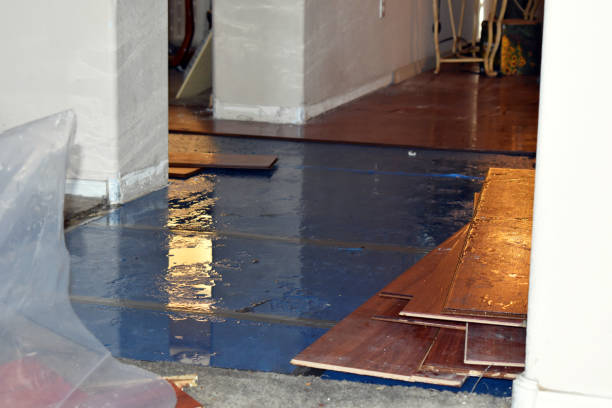 Professional Burst Pipe Cleanup technician working in Finger, TN
